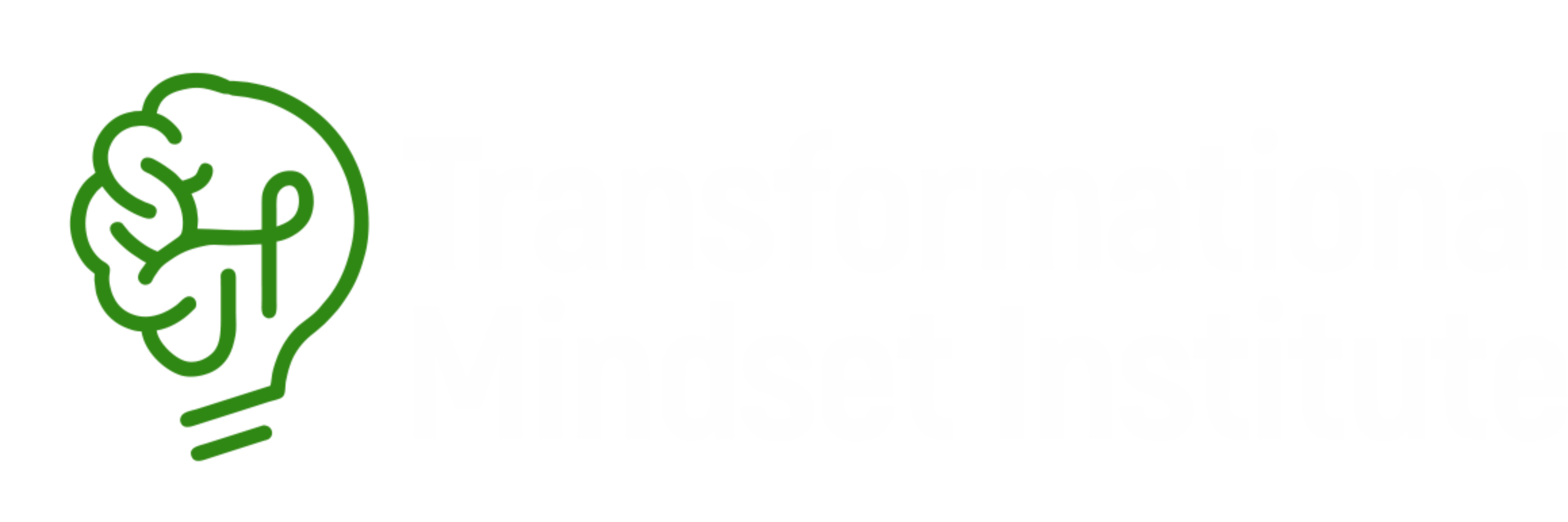 Transformational Mindset Institute